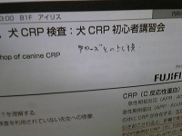 CRP.jpg